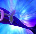 Whale Voice Banner